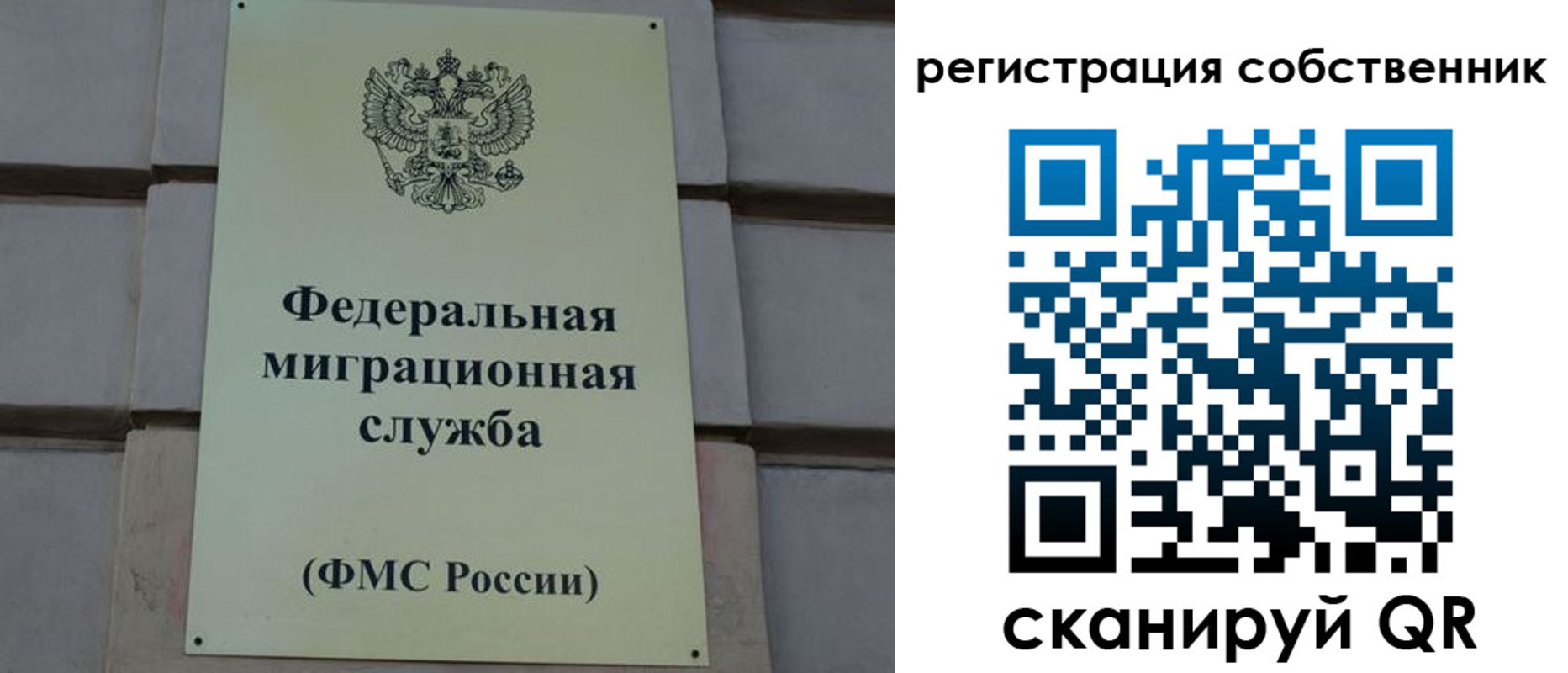 прописка гарантия в Краснозаводске